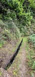 Plants: image 72 Of 208 Thumb